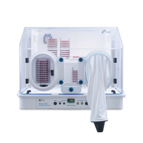 Anaerobic Workstation
