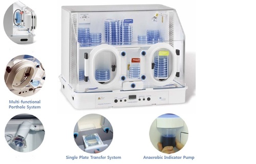 Scientific Anaerobic Workstation