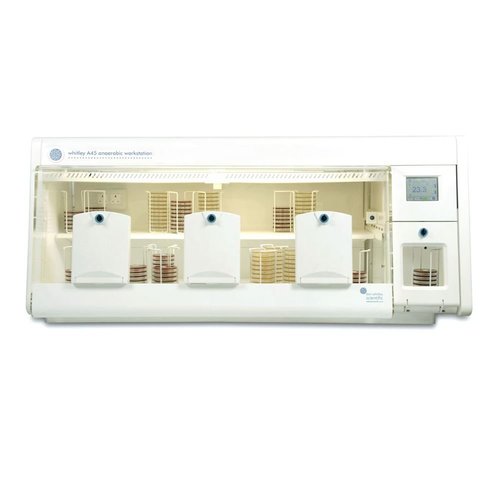 Anaerobic Laboratory Workstation