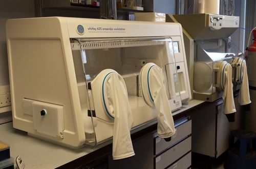 Anaerobic Chamber