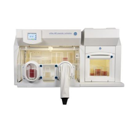 Anaerobic Incubator Glove Chamber Suppliers in India