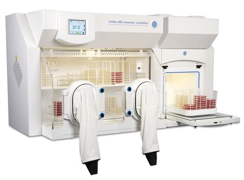 Anaerobic Culture Chamber