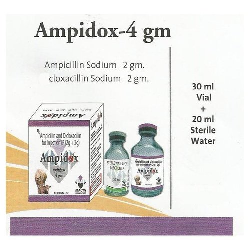 Ampicillin Sodium 2gm cloxacillin Sodium 2gm