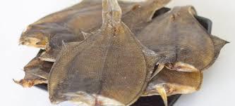 Flounder (Lophopsetta maculata)