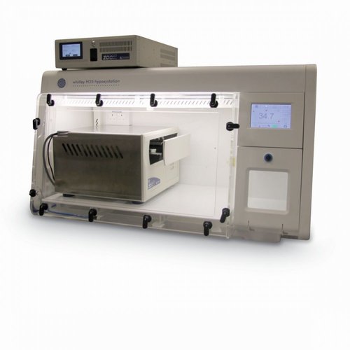 How to Growth Hypoxia Cell Culture