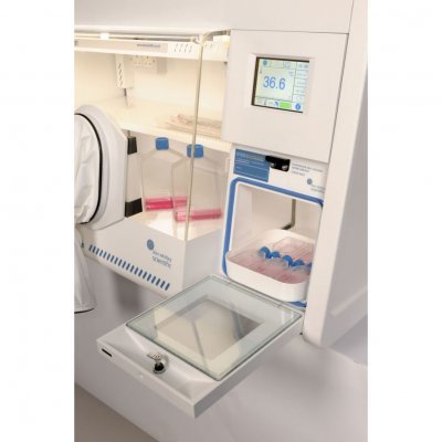 Hypoxia Cell Culture Incubator