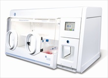 Hypoxia Incubator Workstation