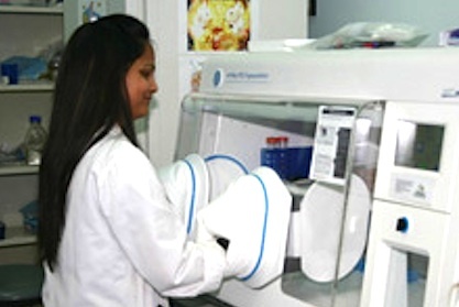 Hypoxia Culture Incubator