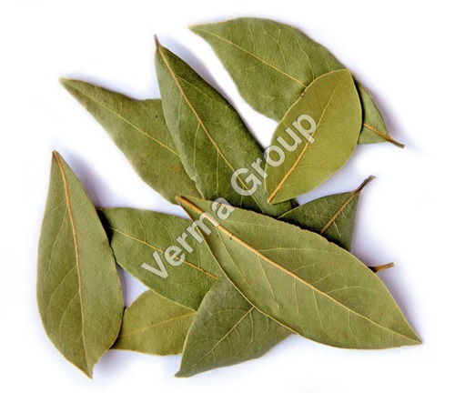 Bay Leaf Oil