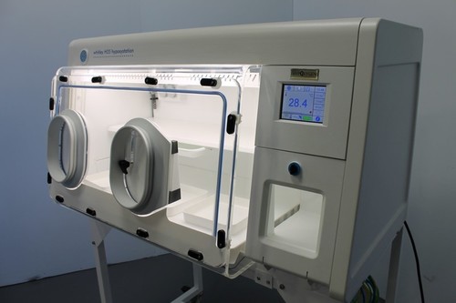 Hypoxia Workstation
