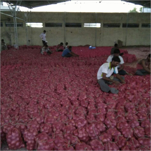 Warehouse of Onion