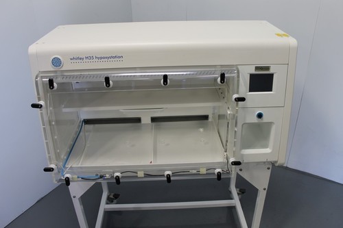 Hypoxia Glove Box Chamber