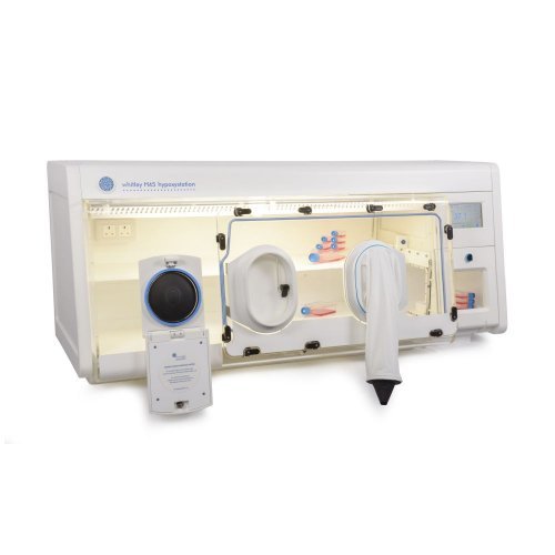 Hypoxia Incubator Chamber