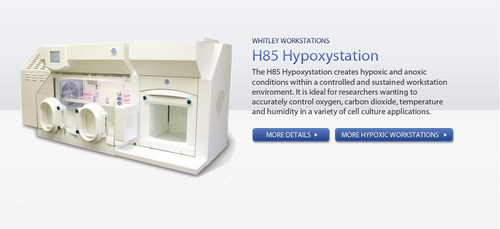 Hypoxia Incubator Glove Chamber Supplier
