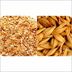 Processed Animal Feed