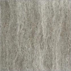 6 V Desert Ash Grey Tiles