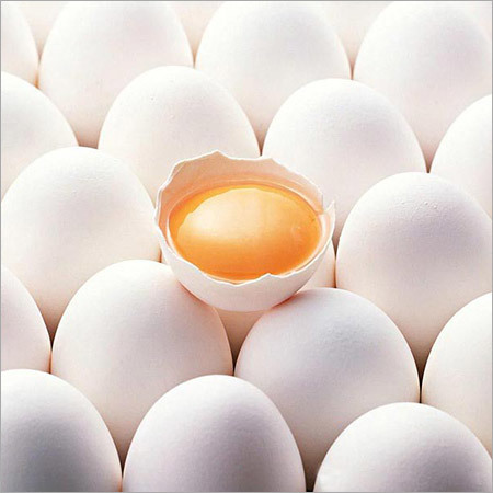 Organic Eggs
