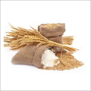Nutritious Wheat