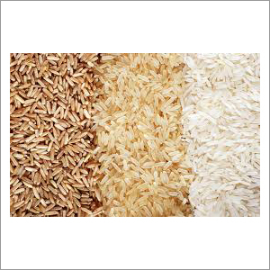 Boiled Rice