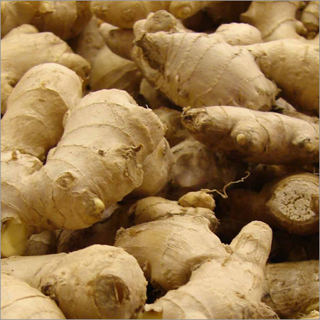 Fresh Ginger
