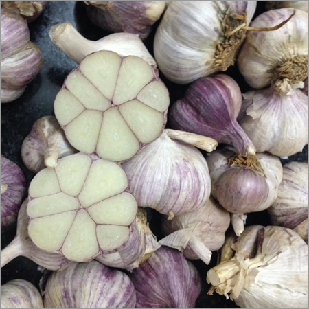 Fresh Garlic