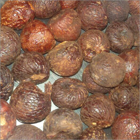 Fresh Betel Nuts