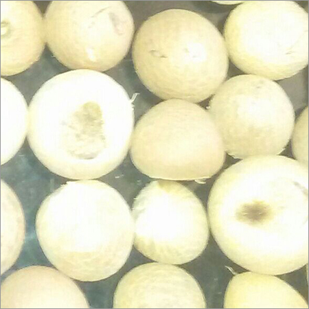 Dried Split Betel Nuts