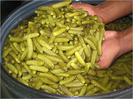 Gherkins in Vinegar