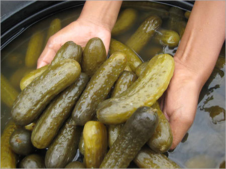 Gherkins In Salt Brine Weight: 180  Kilograms (Kg)