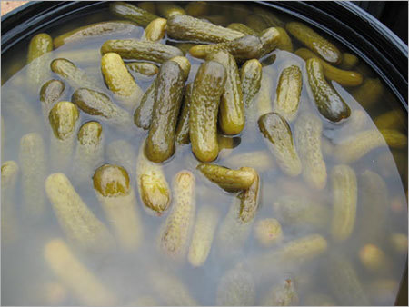 Preserved Fermented Cucumber