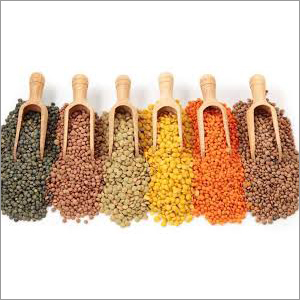 Indian Pulses