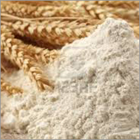 Wheat Flour
