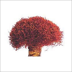 Indian Saffron Indian Saffron