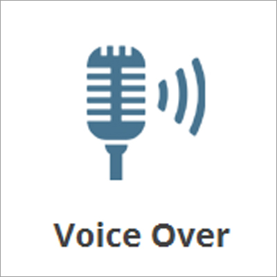 Professional Voice Over Services