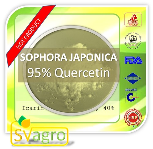Sophora Japonica Extract Quercetin 95% Quercetin Powder