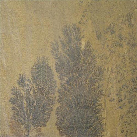 Fossil