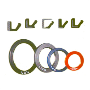 Rotary Shaft Seals