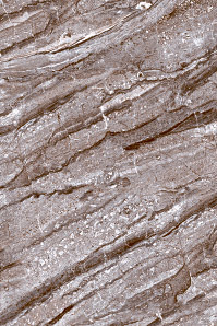 Chochlate Brown Gloss Tiles - Ceramic 12x24 Inch Brown, 8mm Thick, Glossy Finish, Stain and Water Resistant