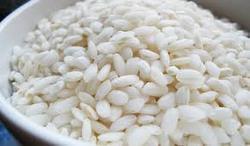 IR 20 Rice