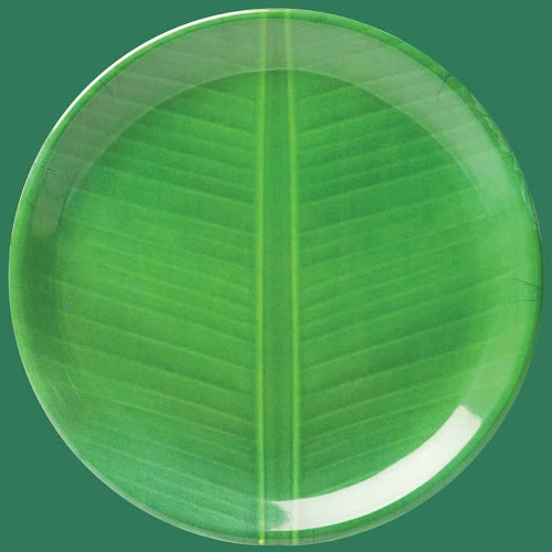 Designer Plates 6 - Plastic, 10 Inches, Green | Durable, Elegant, Eco-Friendly, Lightweight, Microwave Safe