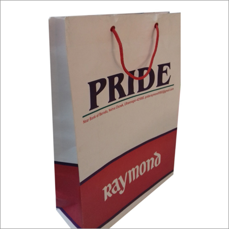 Travel Paper Bag