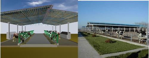 Dairy Freestall Housing