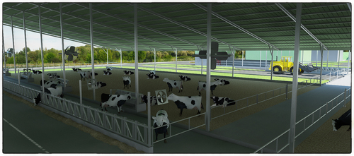 Cow Farm Shed