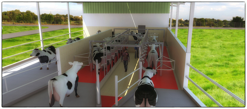 Dairy Farm Setup