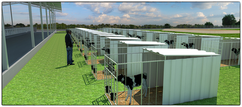 Dairy Farm Setup