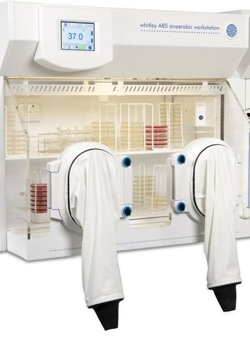 Anaerobic Work Station