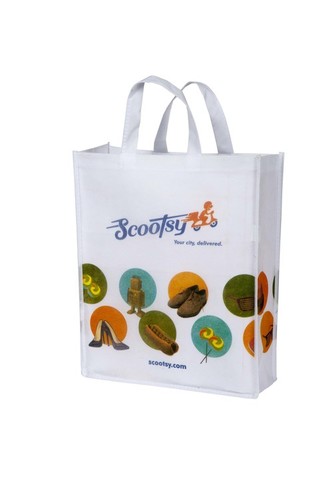 Shopping Carry Bags Size: 15-20 Inch