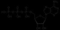 Adenosine Triphosphate Boiling Point: 951.429  C
