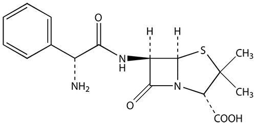 Ampicillin Trihydrate - High Purity Pharmaceutical Grade | Effective Antibiotic for Bacterial Infections