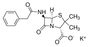 Benzylpenicillin Potassium